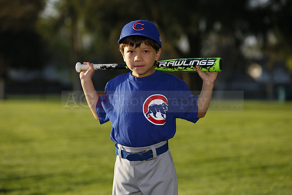 FarmCubs028