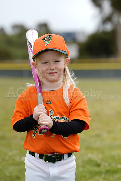 TBGrasshoppers00084