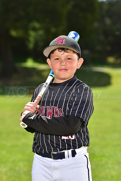 SB_PW_Hawks040