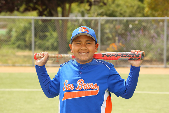SB_BR_Mets00040