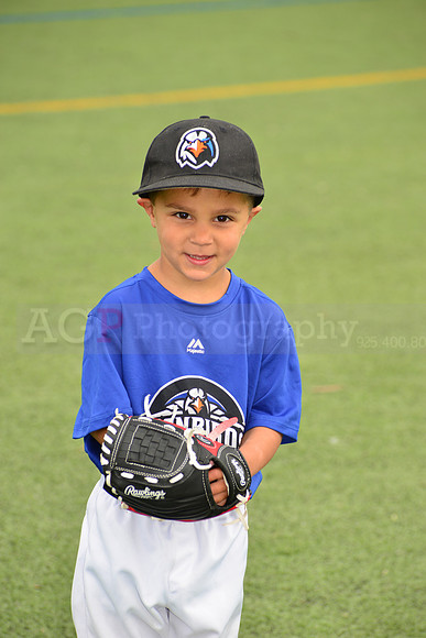 SB_TB_Ironbirds00003