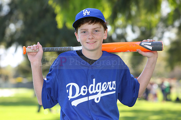 MajorDodgers010