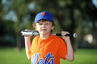 A_Mets008