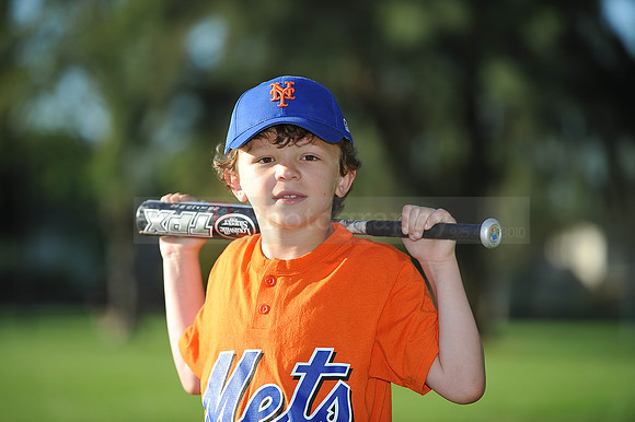 A_Mets008