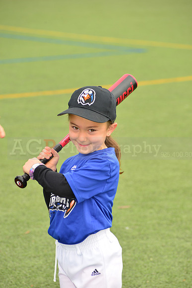 SB_TB_Ironbirds00036