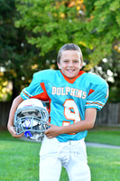 Dolphins018