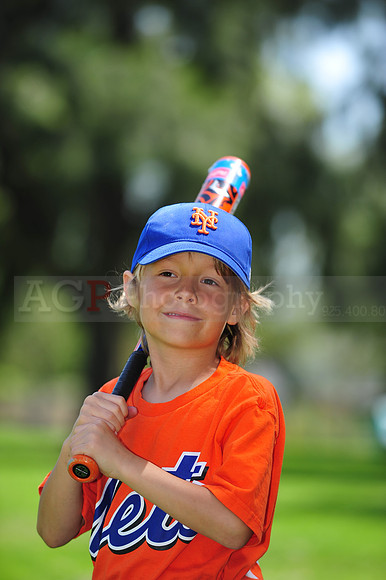 Farm_Mets090