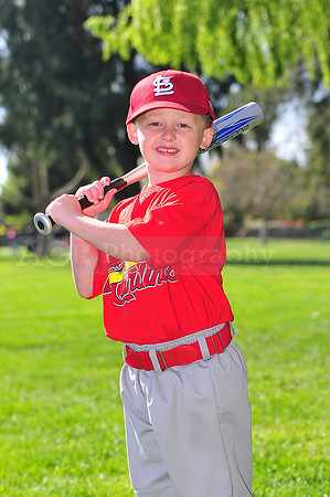 TBCardinals029