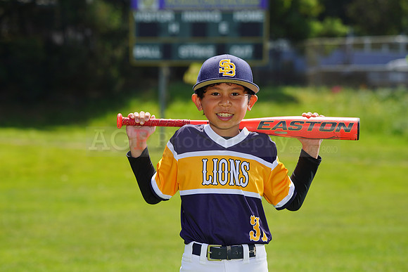 SB_PW_Lions059