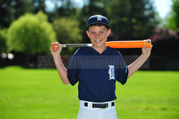MTigers063