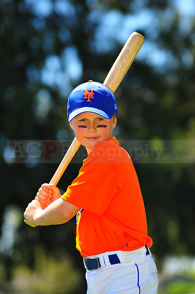 AAA_Mets044