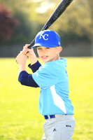 AAA Royals010