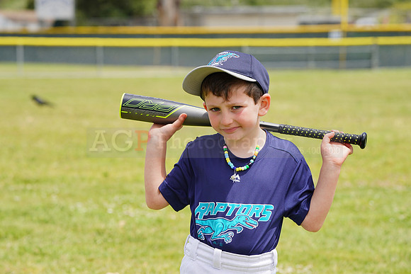 AGP09145