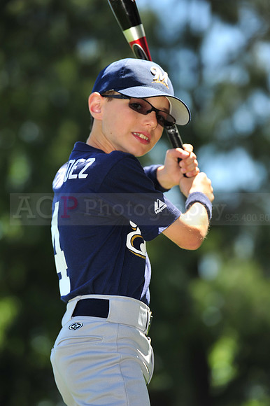 AA Brewers079