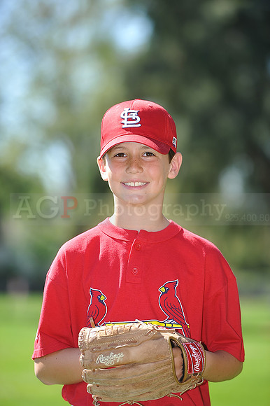 AA_Cardinals042