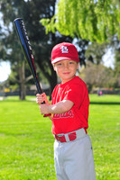 TBCardinals011