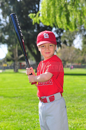 TBCardinals011