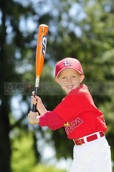 FarmCards093