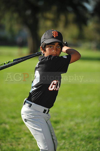 A_Giants049