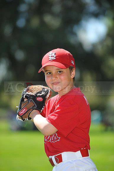 A_Cardinals103