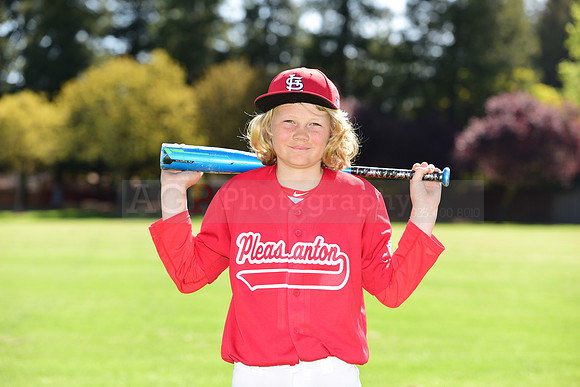 MCardinals0031