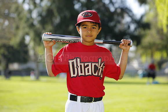 FMDBacks061