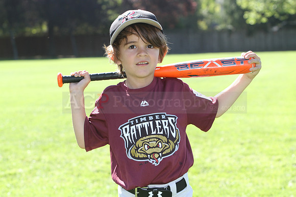 FMTimberRattlers004
