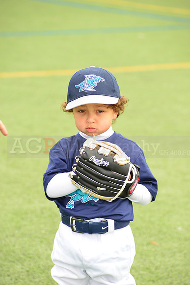 SB_TB_Raptors00185