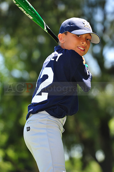 AA Brewers069