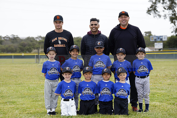 TBIronBirds00147