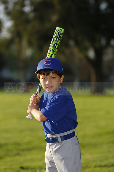 FarmCubs025