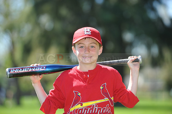 A_Cardinals050