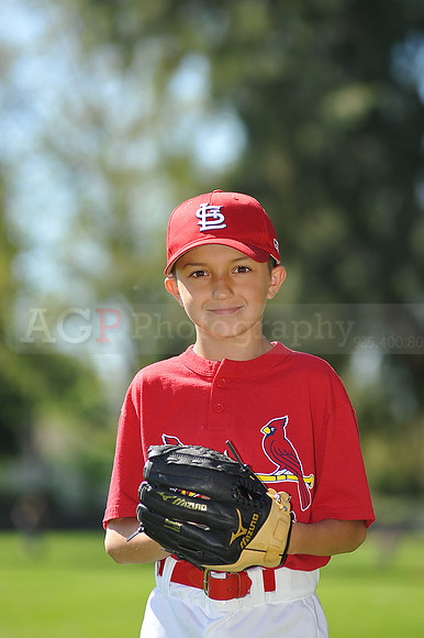 AA_Cardinals024