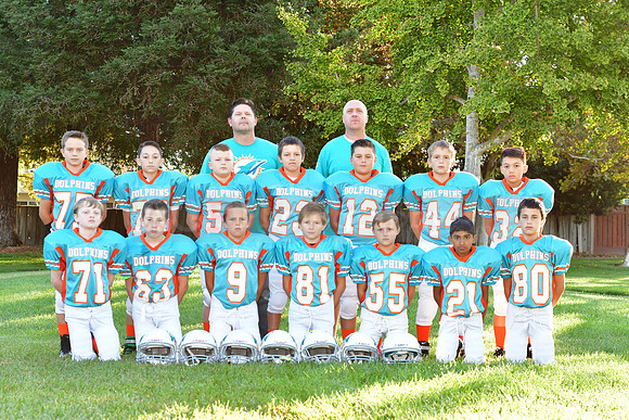 Dolphins118