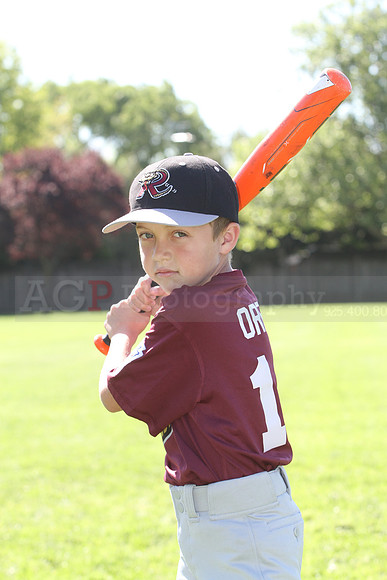 FMTimberRattlers019