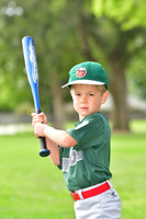 TBTincaps006