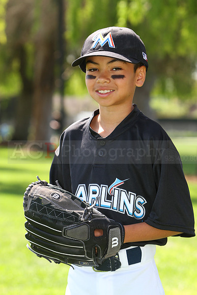 AAMarlins063
