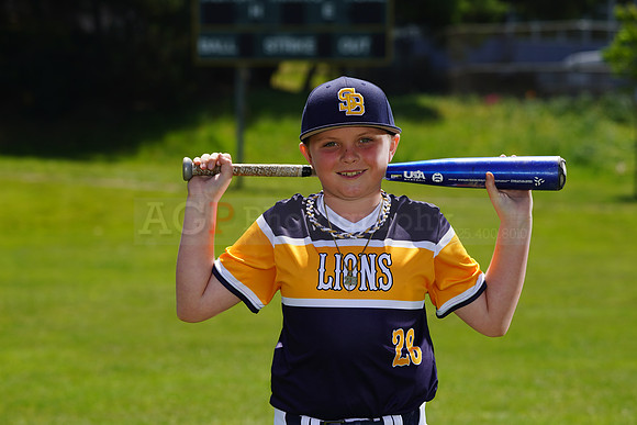 SB_PW_Lions026