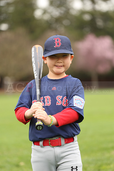 AARedsox078