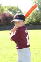 FMTimberRattlers020
