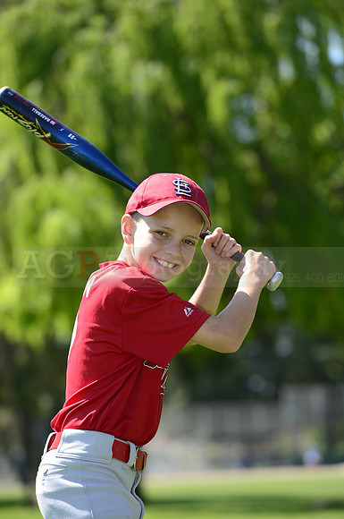 AAA Cards091