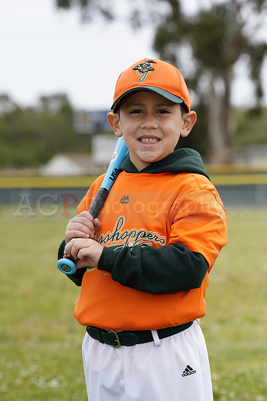 TBGrasshoppers00008