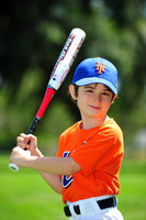 Farm_Mets003