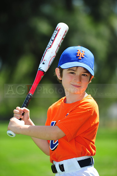 Farm_Mets003