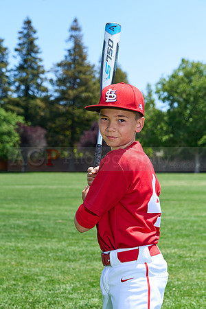 PLL_M_Cardinals00020