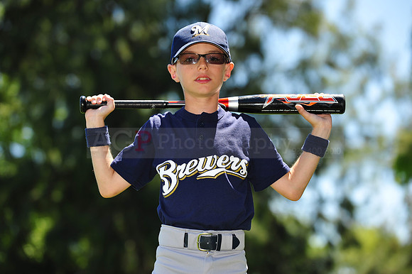 AA Brewers082