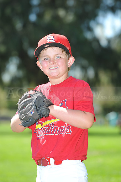 A_Cardinals066