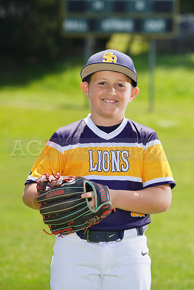 SB_PW_Lions002