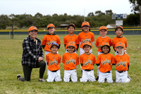 T-BALL GRASSHOPPERS