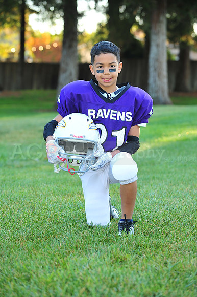 Ravens046